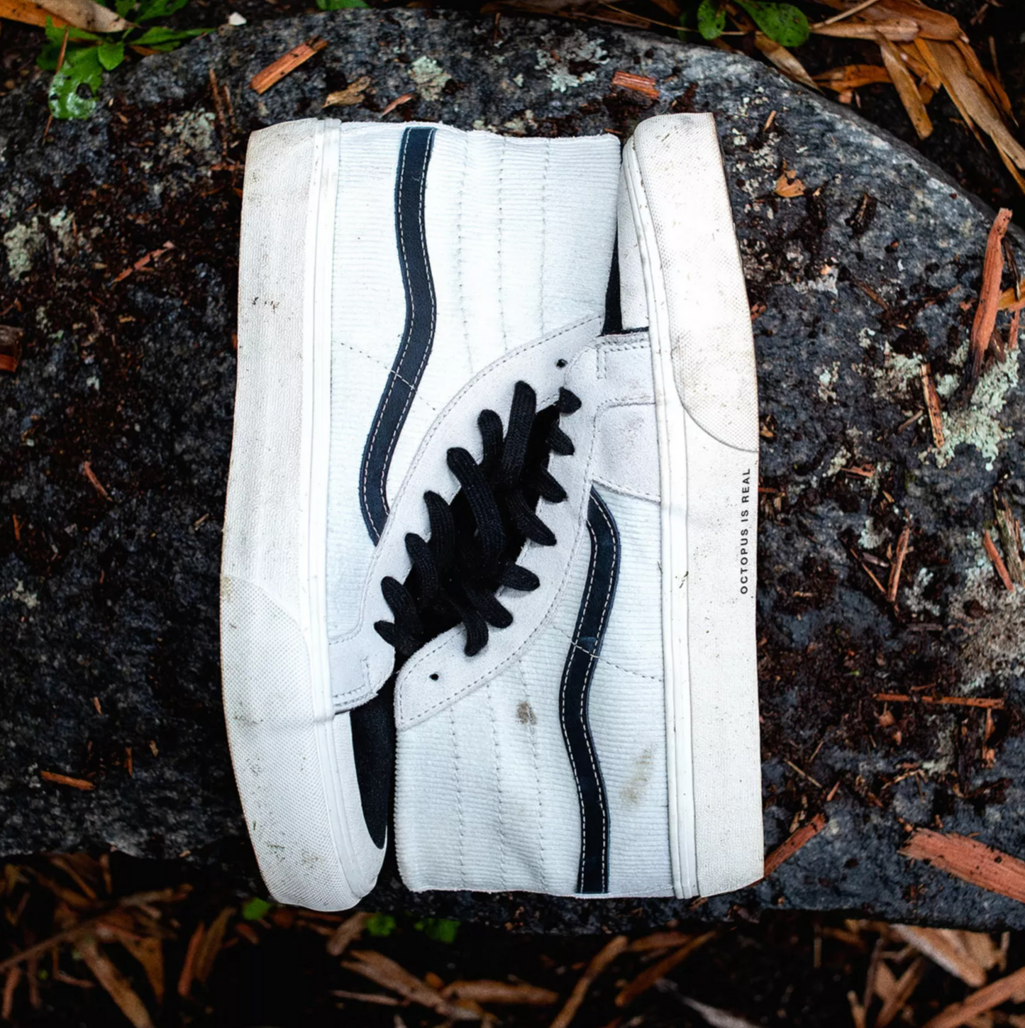 VANS | OCTOPUS SK8-Hi
